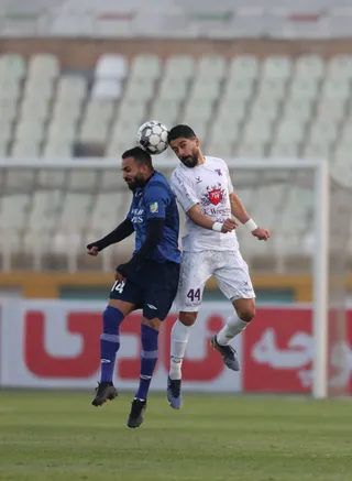 هوادار