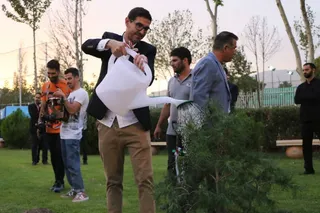 کاشت درخت