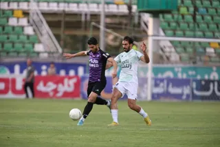 هوادار