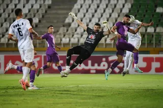 هوادار