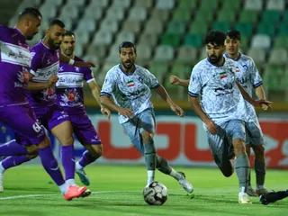 هوادار