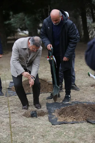 فدراسیون