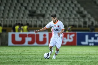 هوادار