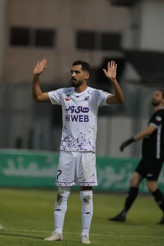 هوادار