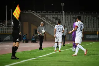 هوادار