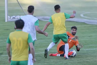 بزرگسالان