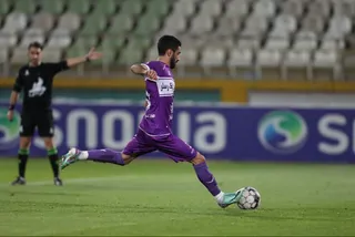 هوادار