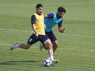 تیم