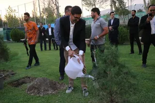 کاشت درخت