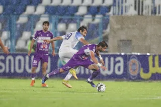 هوادار
