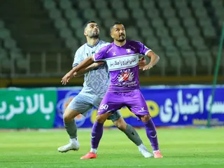 هوادار