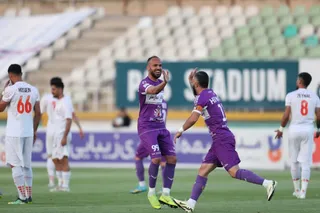 هوادار