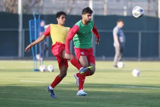 بزرگسالان ۲