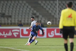 هوادار