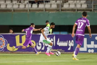 هوادار