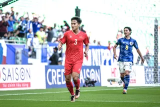 ژاپن ویتنام