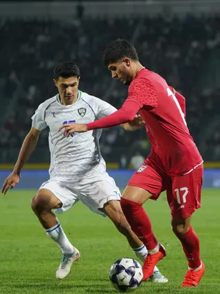 تیم ملی