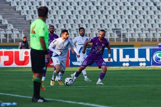 هوادار