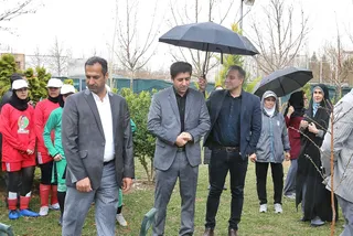 درختکاری