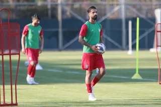 بزرگسالان ۲