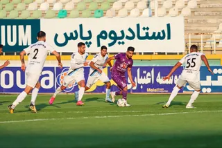 هوادار