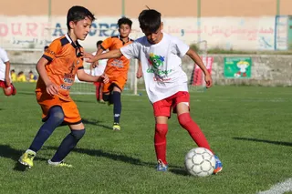 فستیوال
