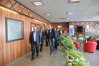 کولینا
