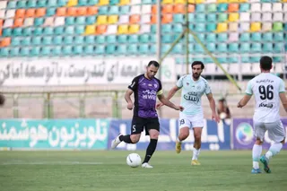 هوادار