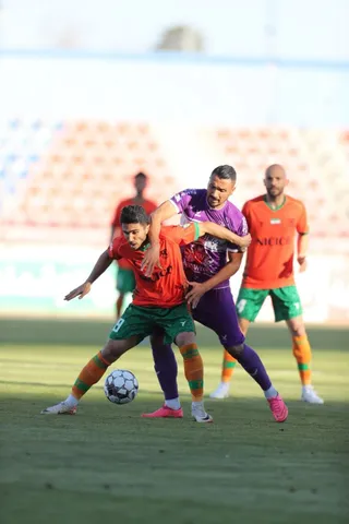 هوادار