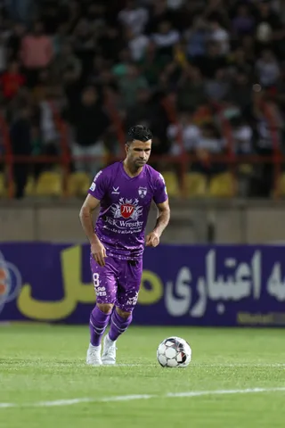 هوادار