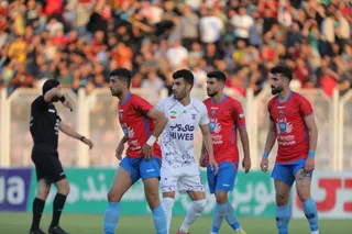 هوادار