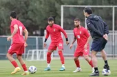 تیم ملی