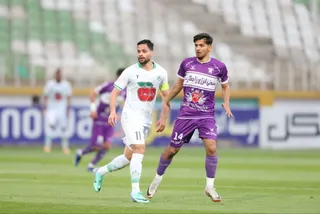 هوادار