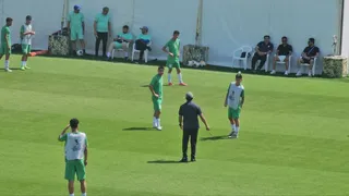  الاهلی 