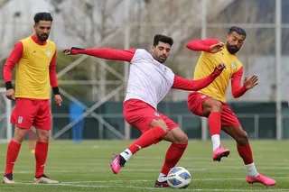 معارفه