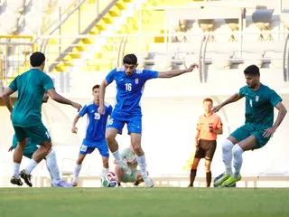 تیم ملی