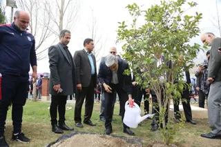 فدراسیون