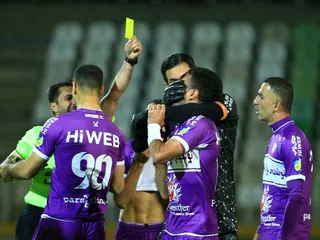 هوادار