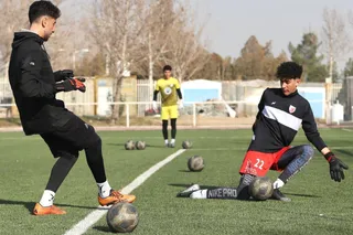 فدراسیون