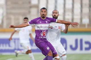 هوادار