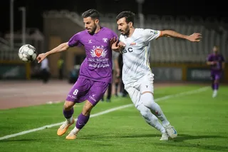 هوادار
