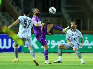 هوادار