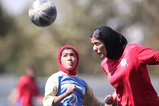 شاهین