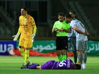 هوادار