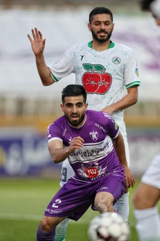 هوادار