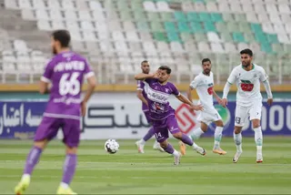 هوادار