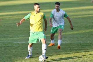 بزرگسالان