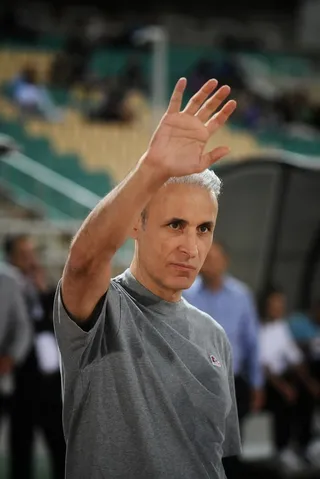 هوادار
