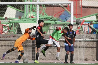 نونهال