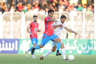 هوادار